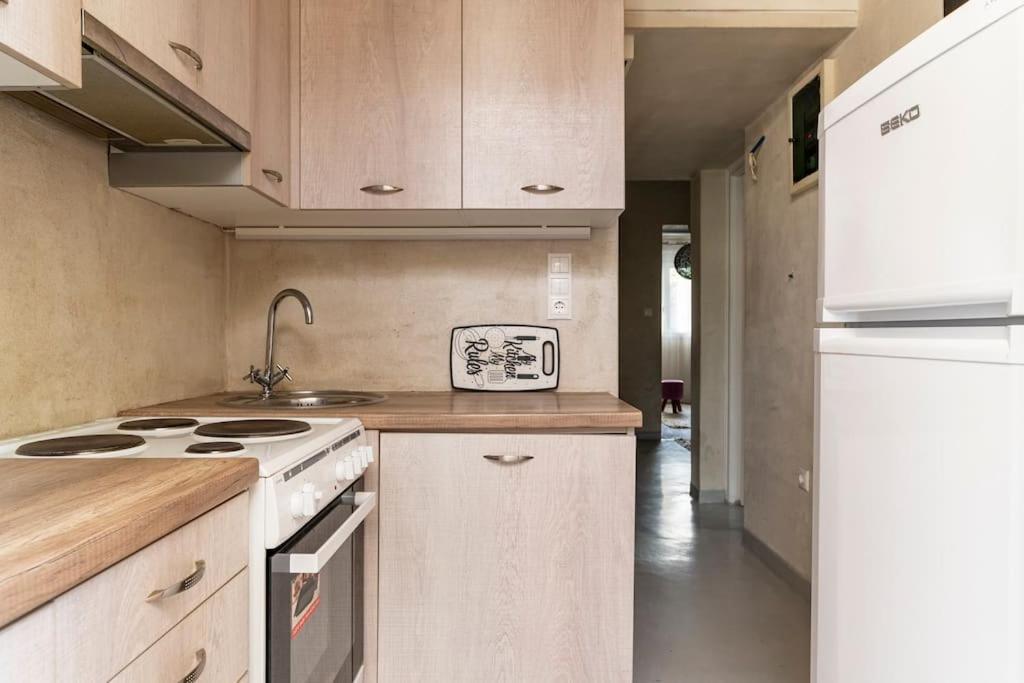 Cute Full Apt W/Backyard In Paleo Faliro เอเธนส์ ภายนอก รูปภาพ